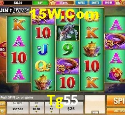 Login Seguro Tg55